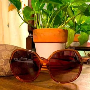 Coach Elizabeth Saddle sunglasses